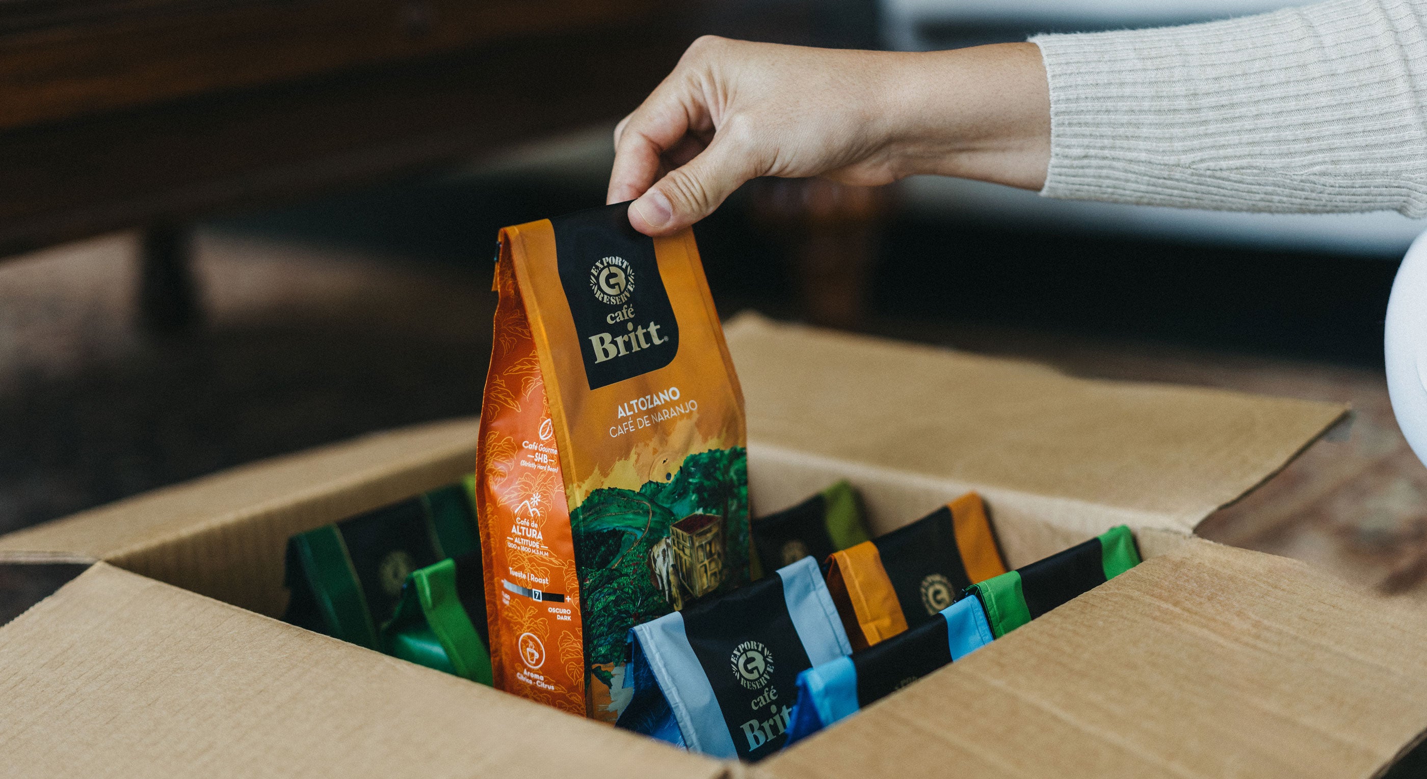 britt nicole net worth - Article 3